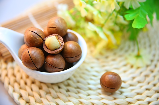 noix-macadamia-naturelle-protéine-sport